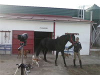 Foto de grabación de caballo