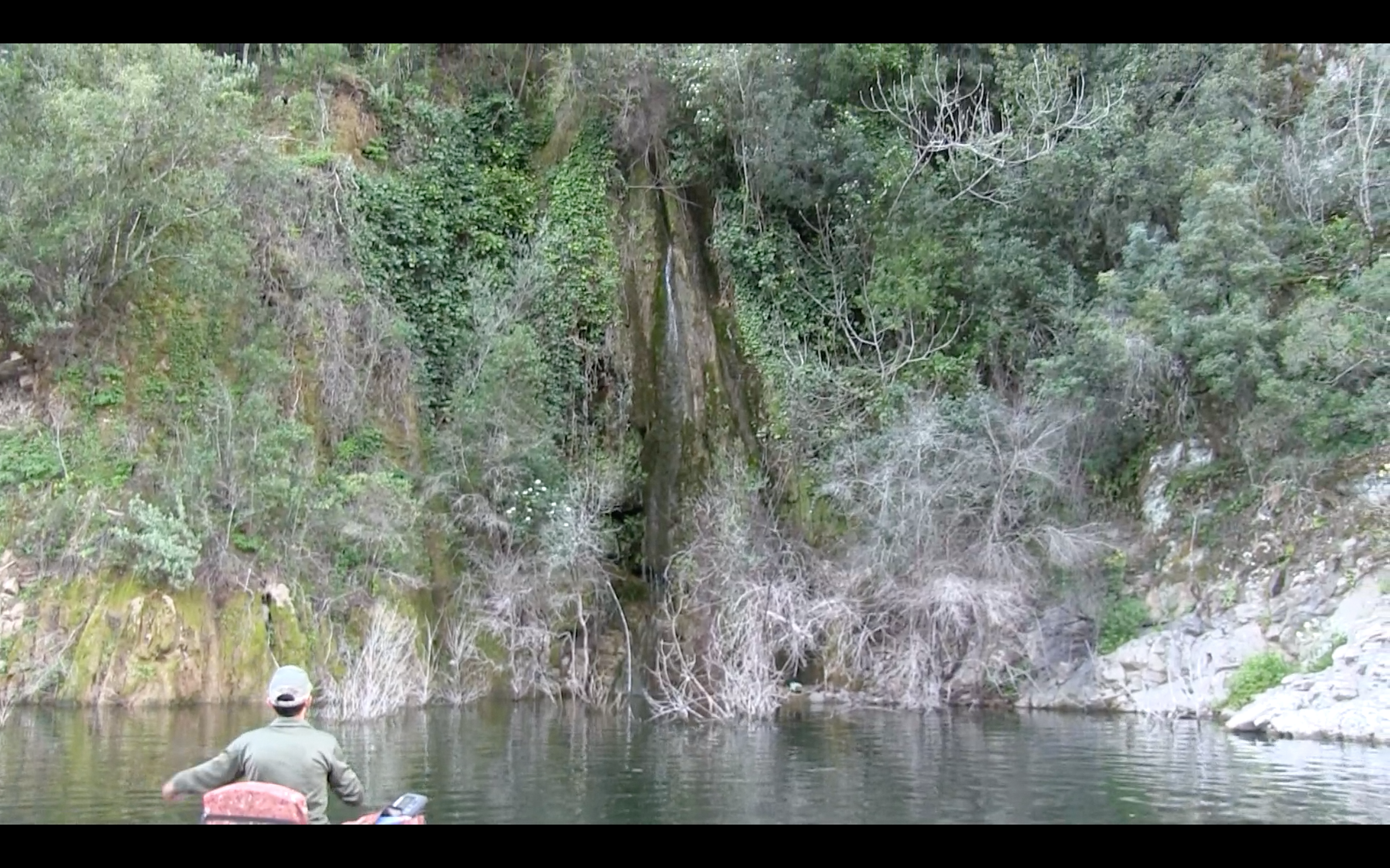 Pescando entre árboles hundidos en pato